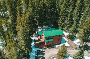 Escape to our Brookside Retreat in the Forest! Private Hot Tub + Easy Access to Downtown Breck!